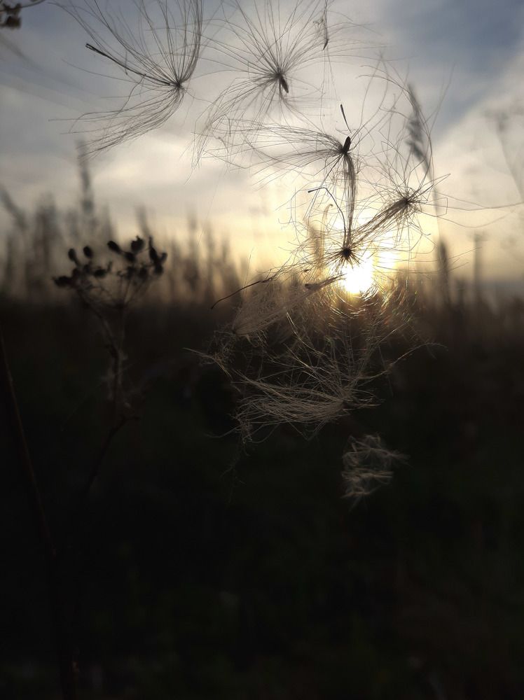 Photograph by Алия Латыйпова