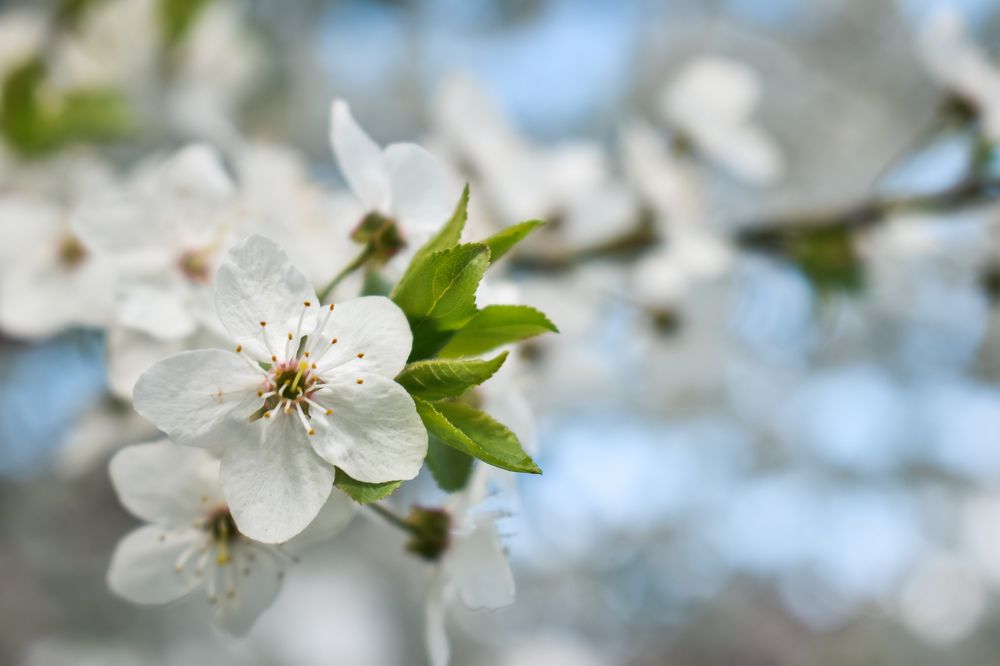 Photograph by Татьяна Сурова