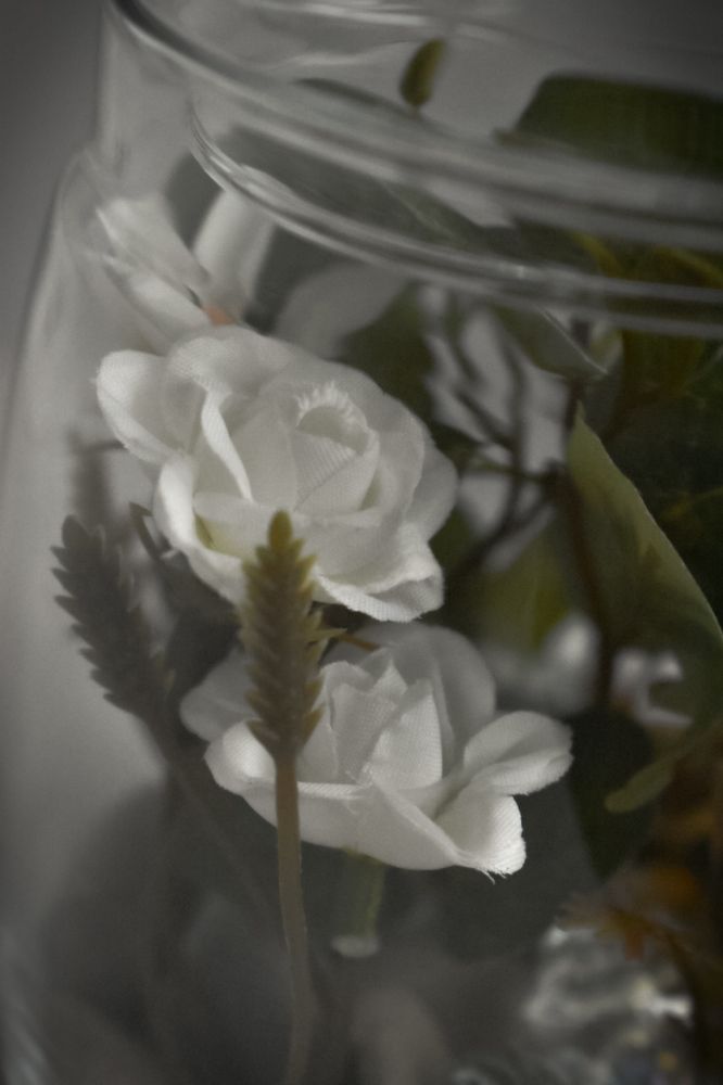 Photograph by Татьяна Сурова