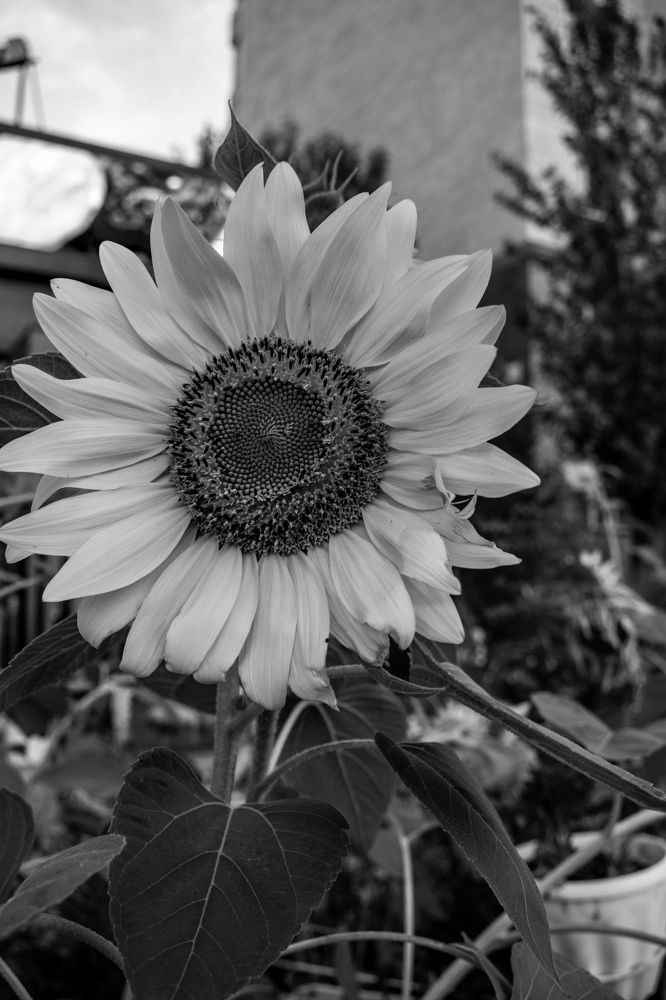 Photograph by Зауре Алиханова