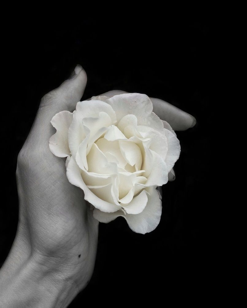 Photograph by Masoumeh Rahimi