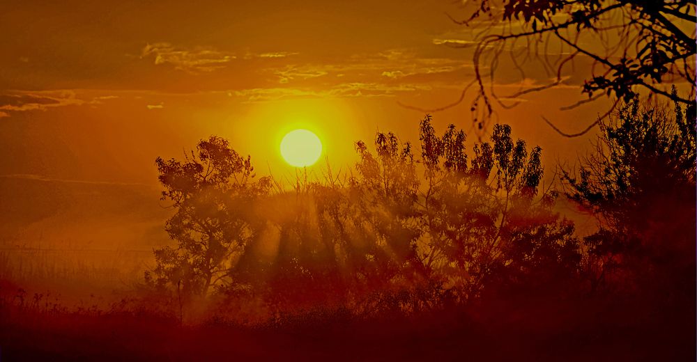 Photograph by Евгений Самулев