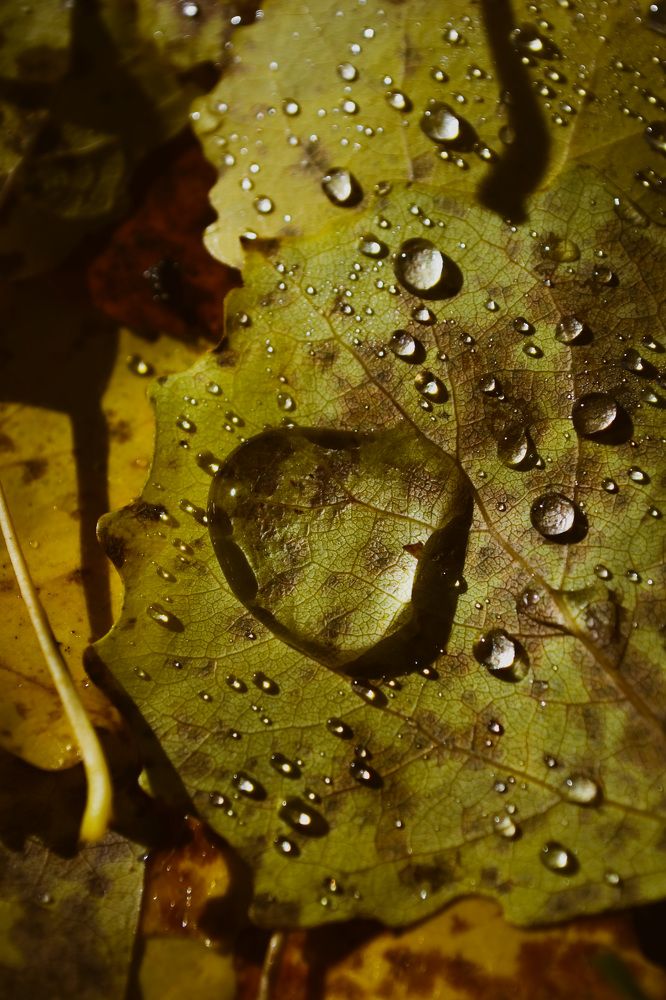 Photograph by Ксения Маленкова