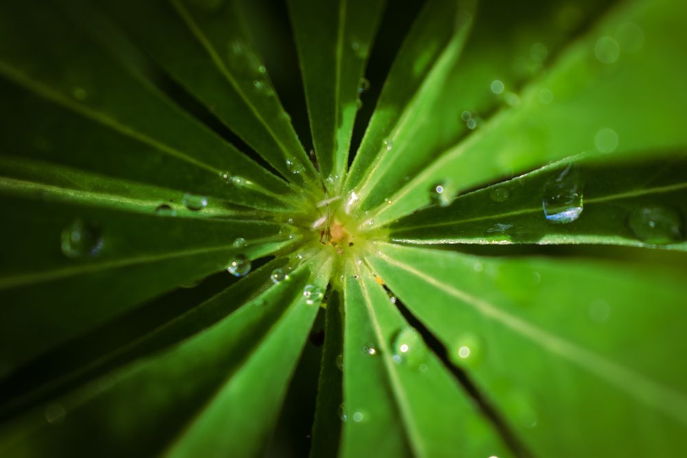 Photograph by Ксения Маленкова