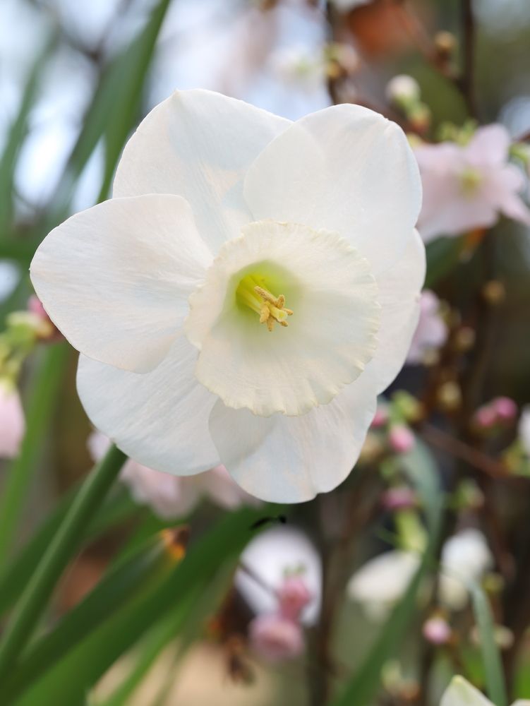 Photograph by Елена Тимченко