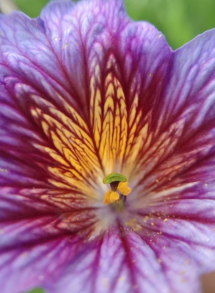 Photograph by Полина Мальцева