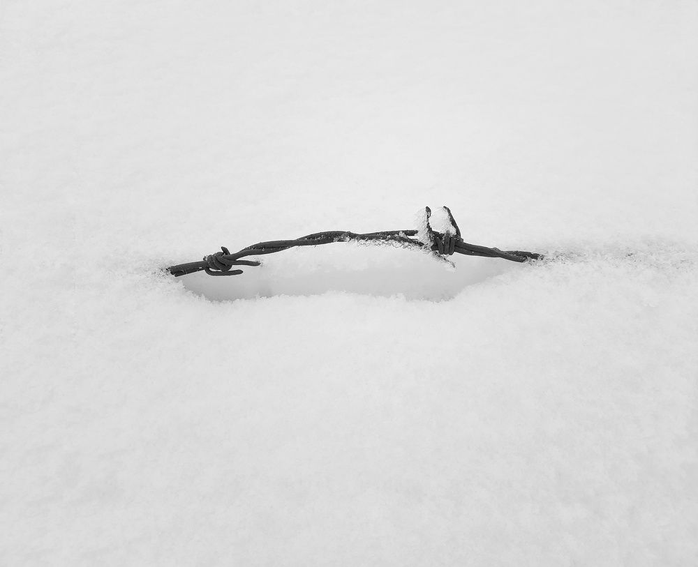 Photograph by Masoumeh Rahimi