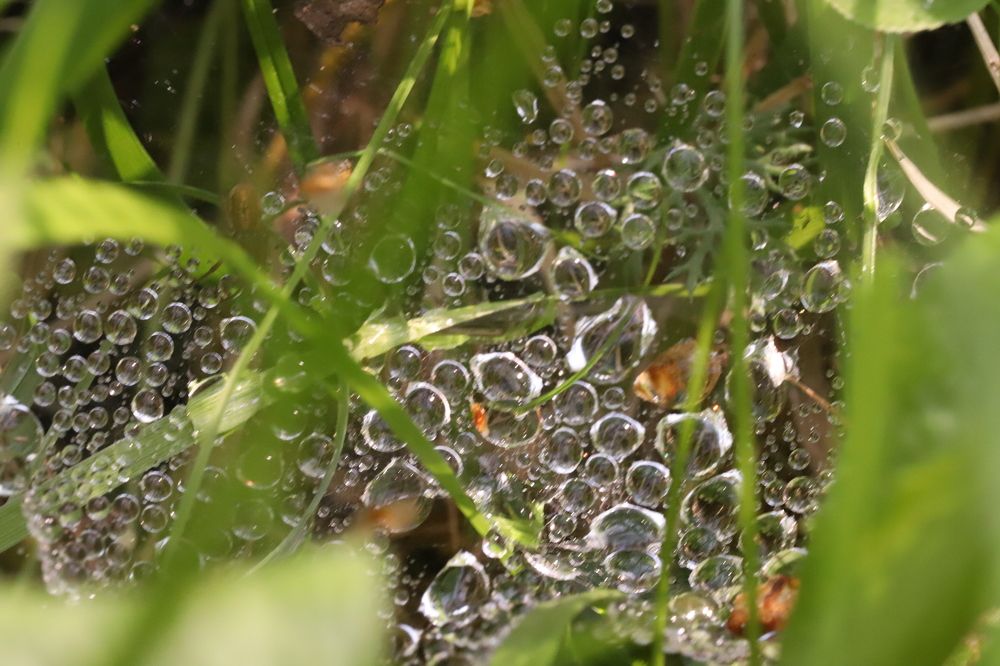 Photograph by Елена Тимченко