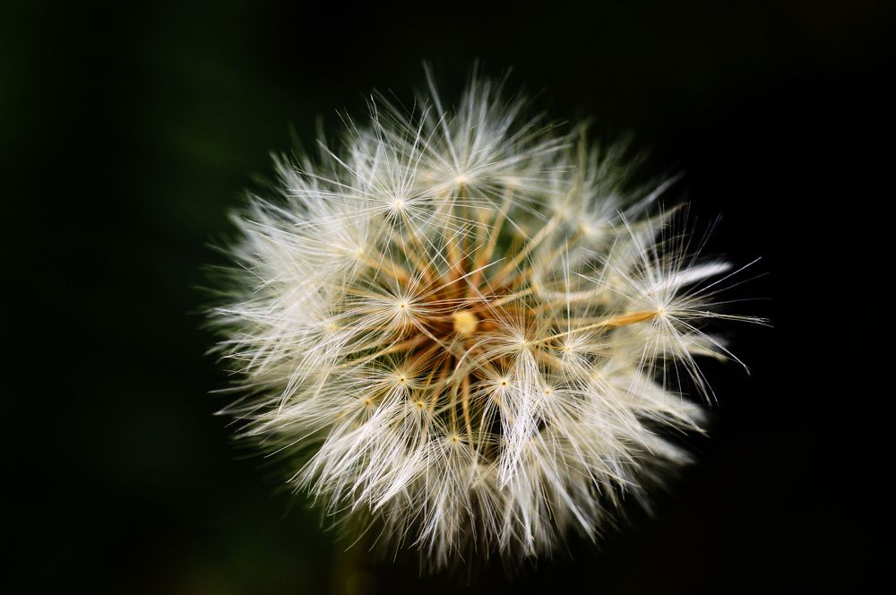 Photograph by Julio Felipe Santo Tomas