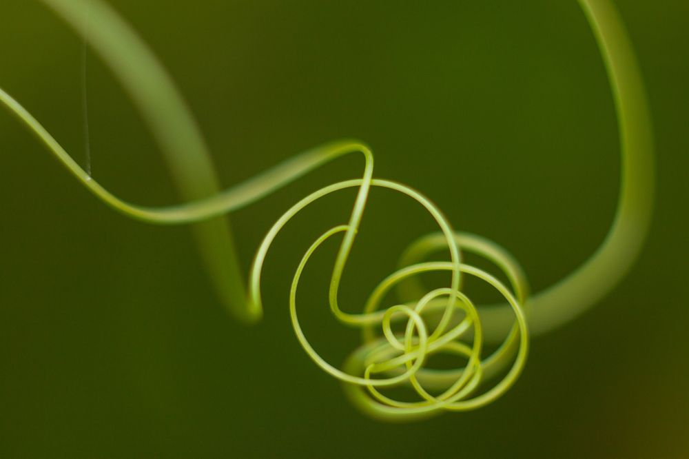 Photograph by Владислав Капанов