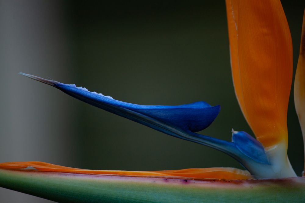 Photograph by Владислав Капанов