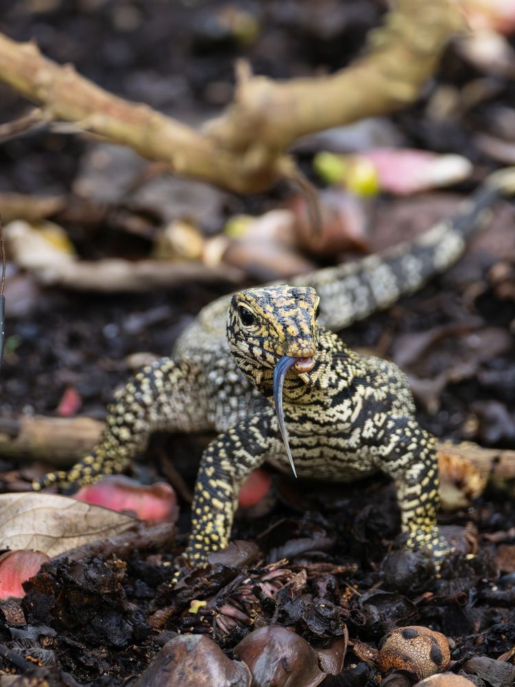 Photograph by Sergio