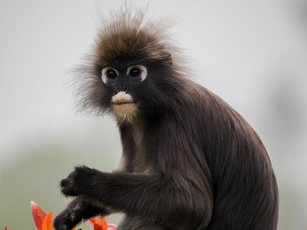 Photograph by Sergio