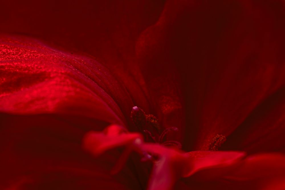 Photograph by Евгений Козлов