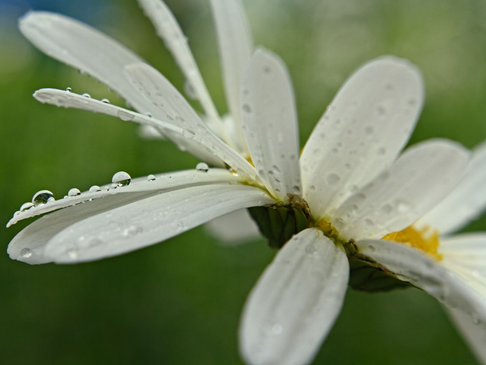 Photograph by Евгений Козлов