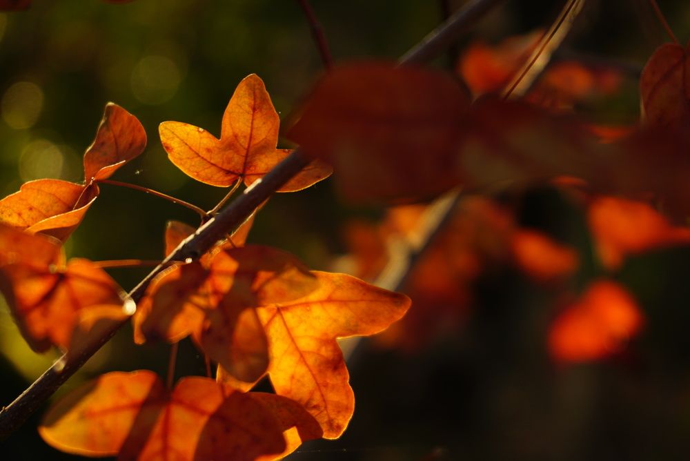 Photograph by Анастасия Морозова
