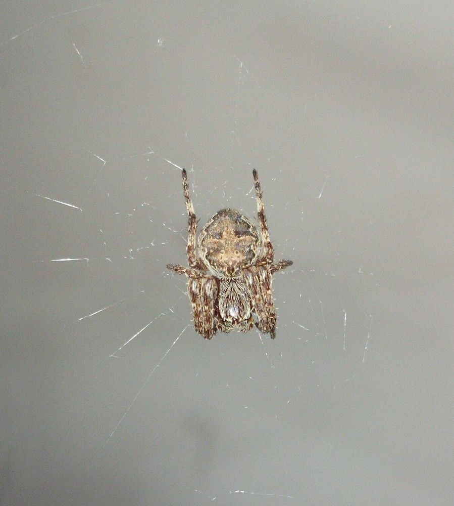 Photograph by Владимир Джерихов