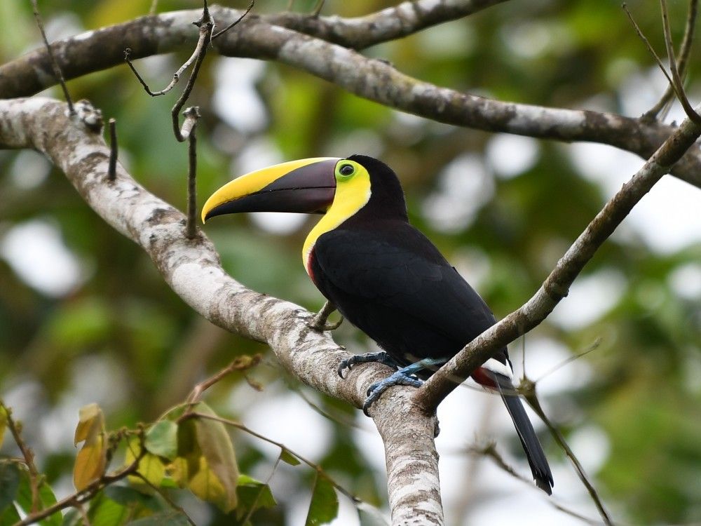 Photograph by יורם גיל