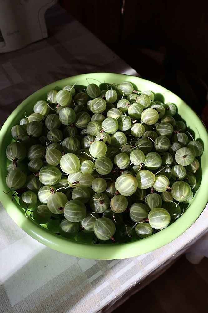 Photograph by Надежда