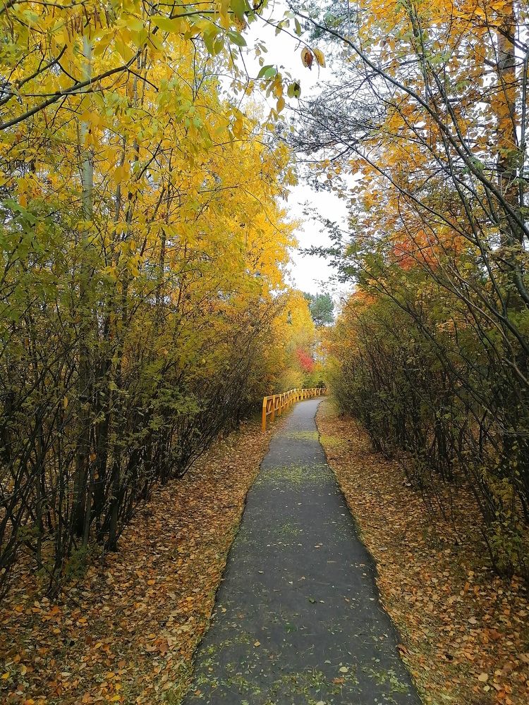 Photograph by Татьяна Бешенкина