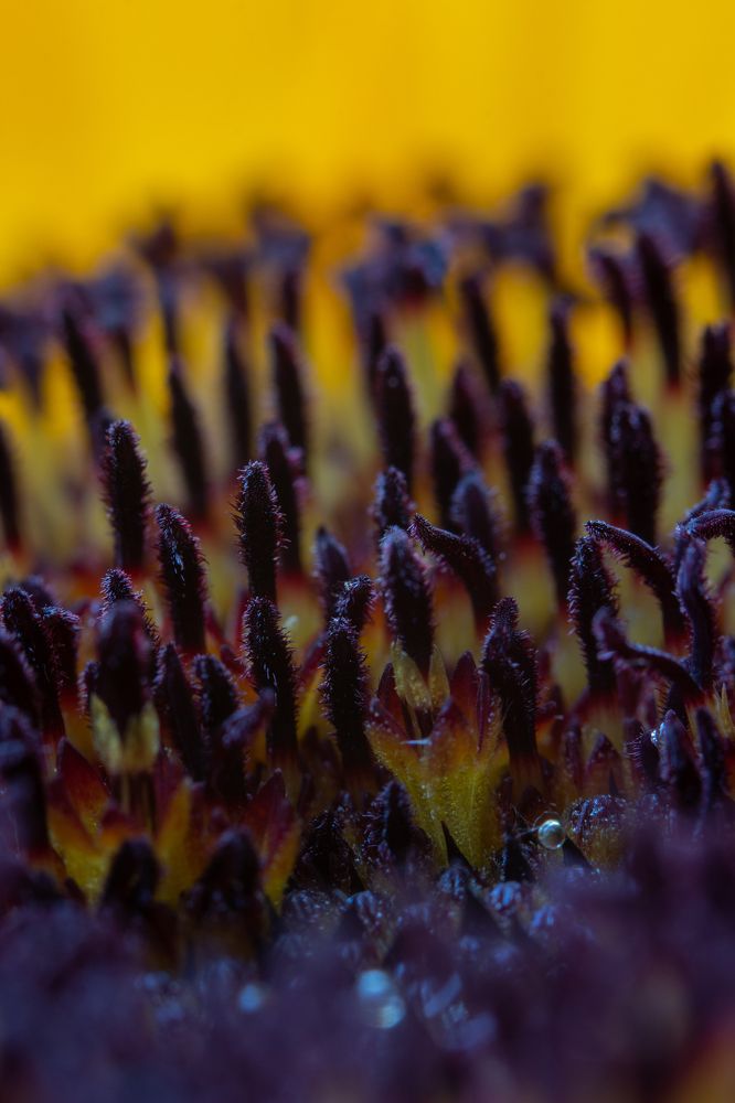 Photograph by Nastya Perekhodkina