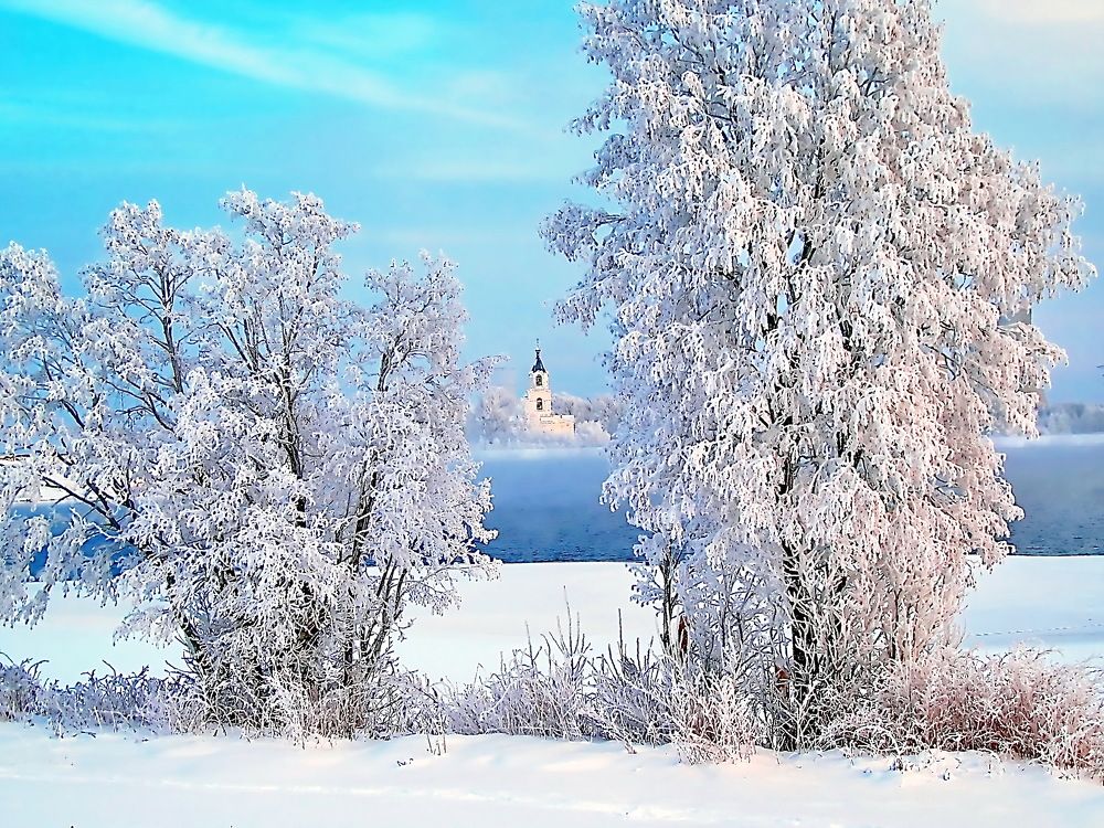 Фотография автора lav