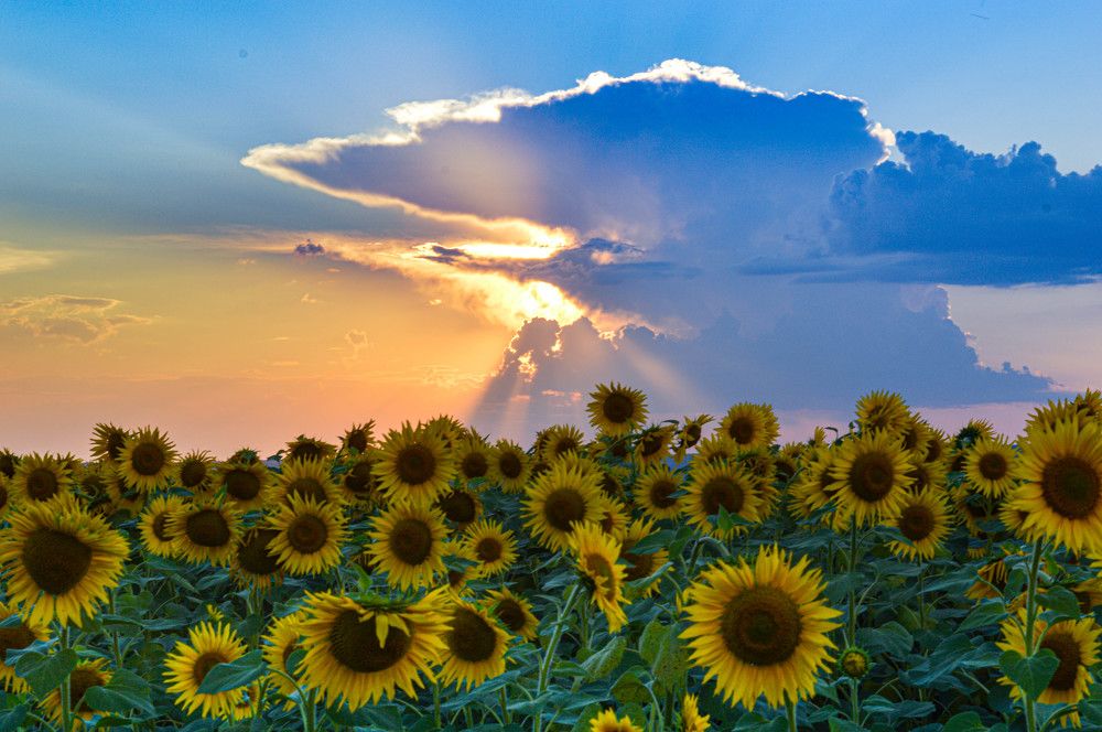 Photograph by Ангелина Ларина