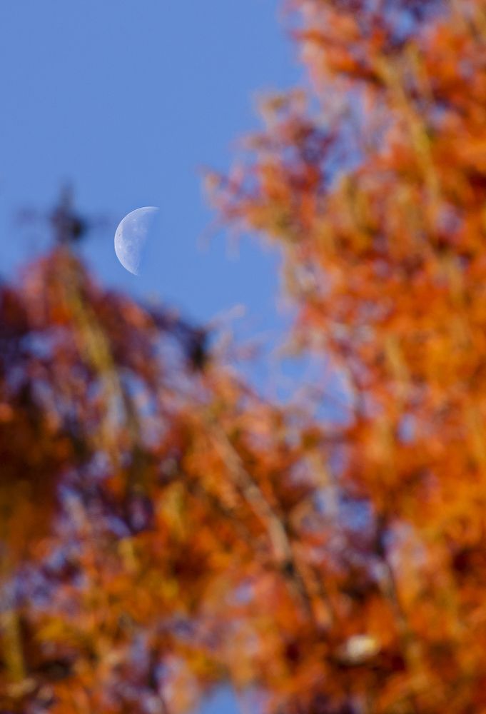 Photograph by София Носкова