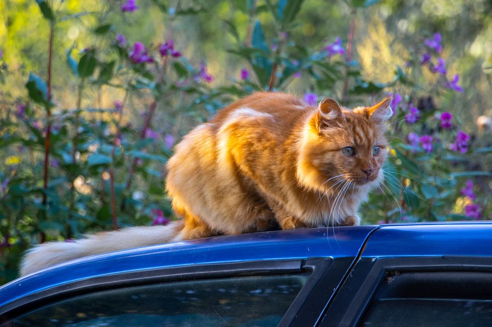 Photograph by Ксения Щукина