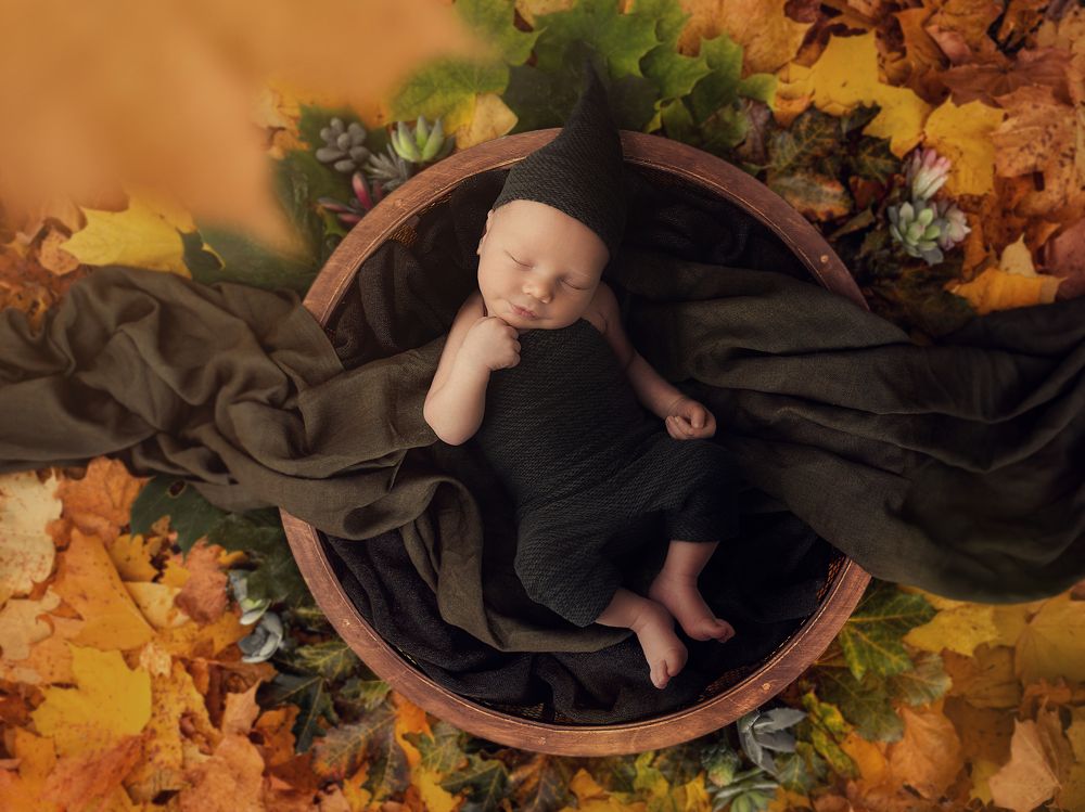 Photograph by Алена Горшкова