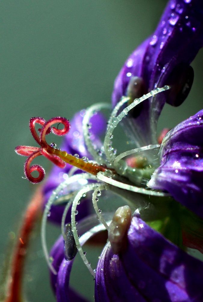 Photograph by Olga Asson