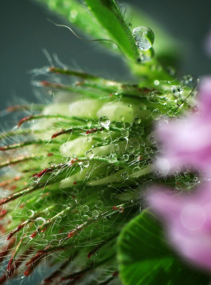 Photograph by Olga Asson