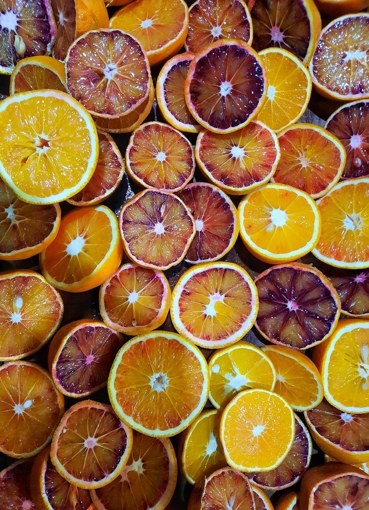 Photograph by Masoumeh Rahimi