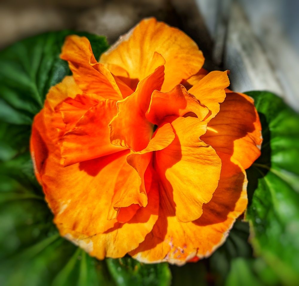 Photograph by Оксана Новикова