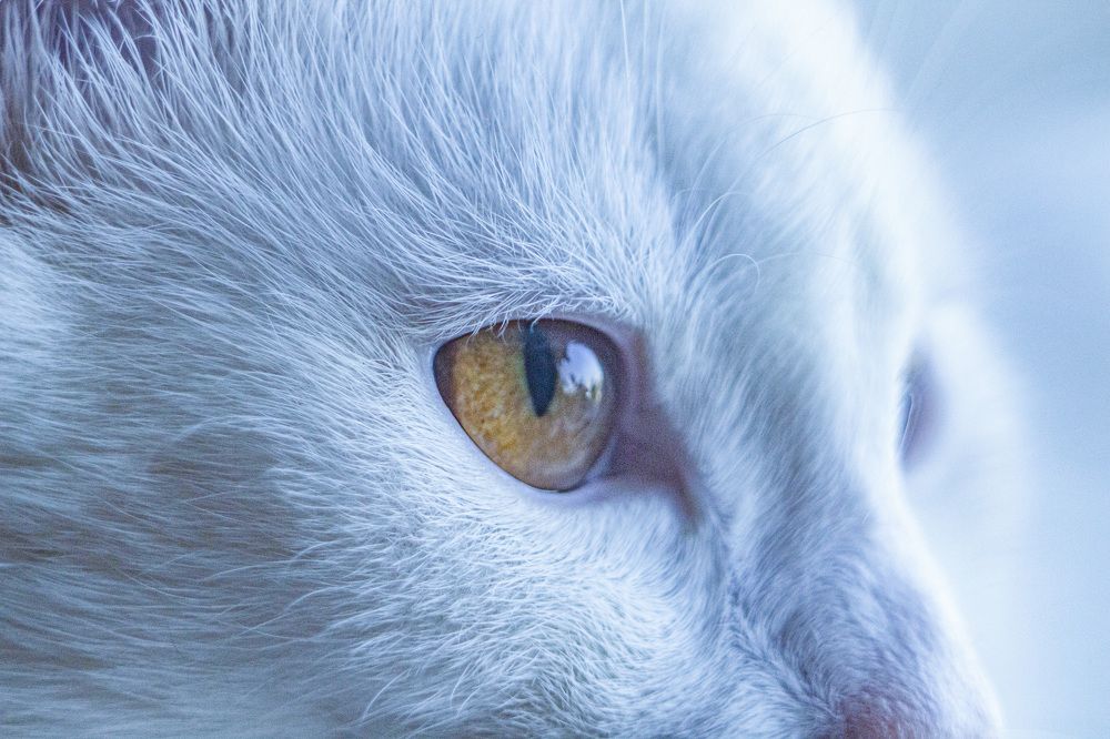 Photograph by Алексей Борисов