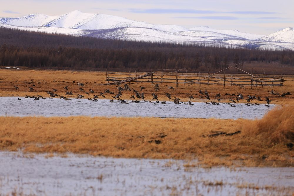 На посадку.