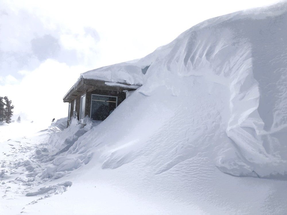 Фотография автора Елена