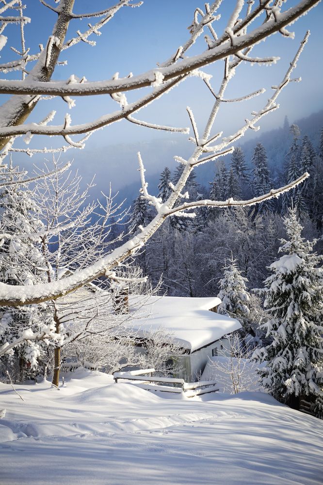 Photograph by Сидоренко Оксана