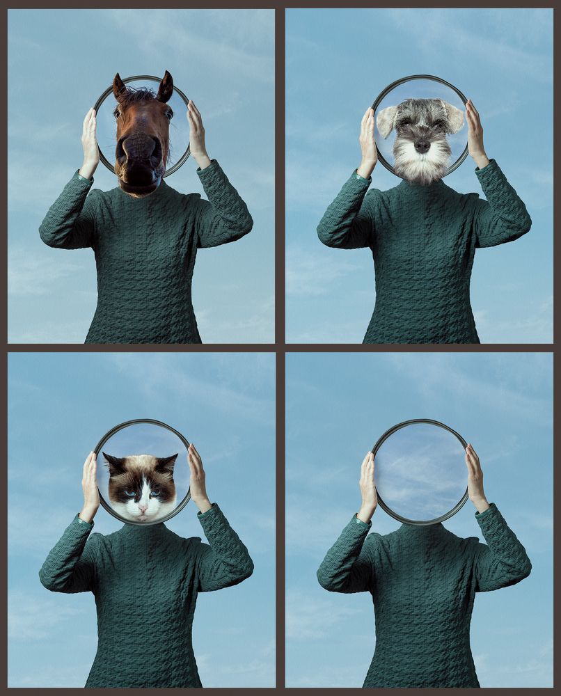 Photograph by Алёна Ивочкина