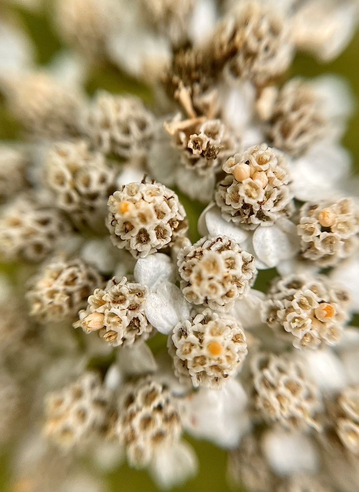 Photograph by Ольга Гаврилова