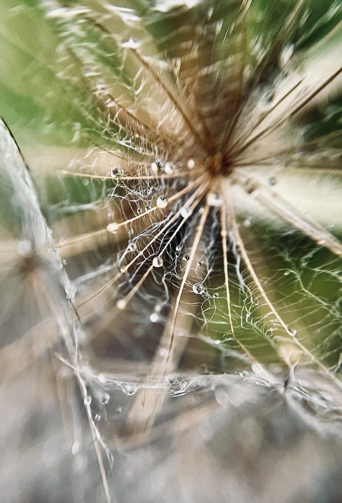 Photograph by Ольга Гаврилова