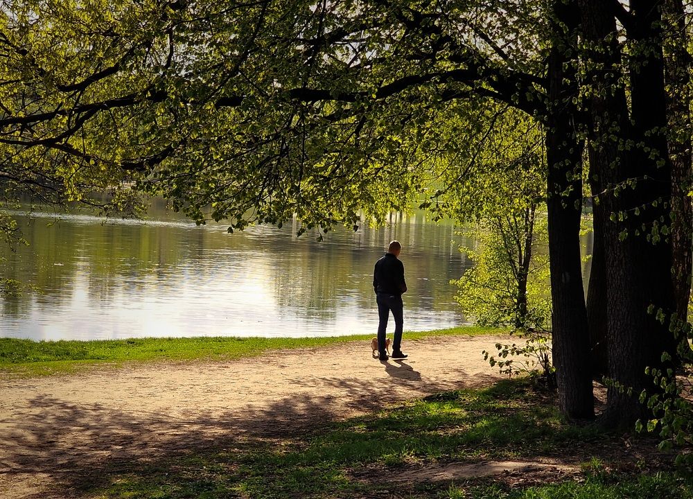 Photograph by Алина Веремеенко