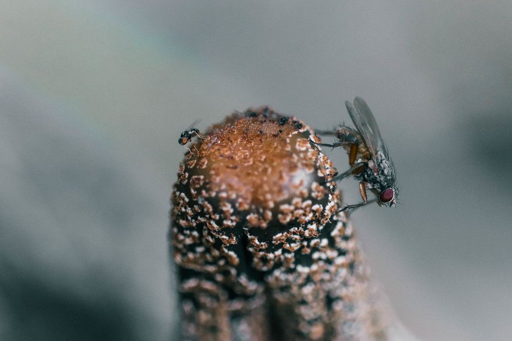 Photograph by Евгения Сенченко