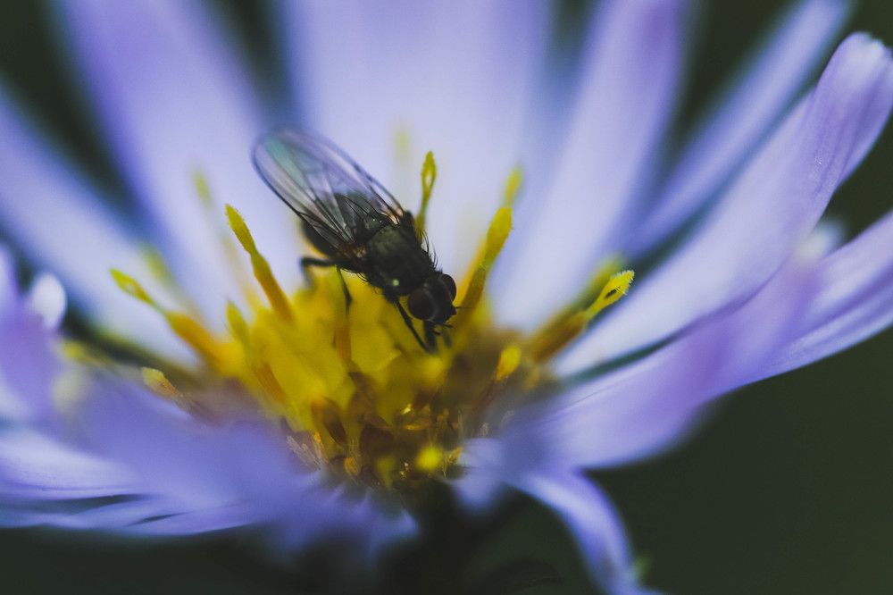Photograph by Евгения Сенченко
