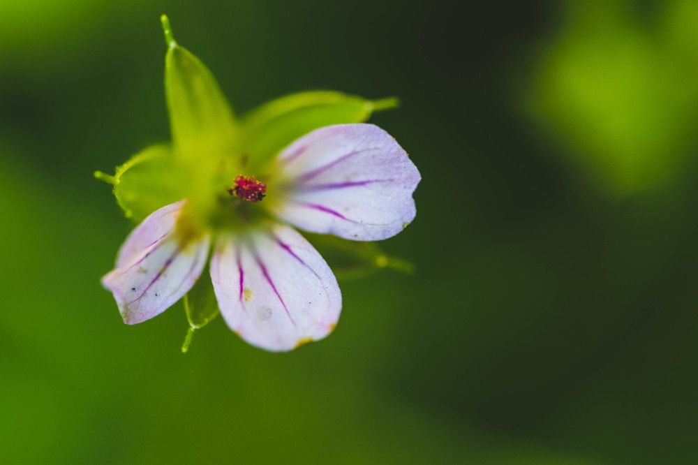 Photograph by Евгения Сенченко