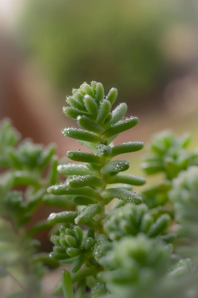 Фотография автора Maichel de Paula