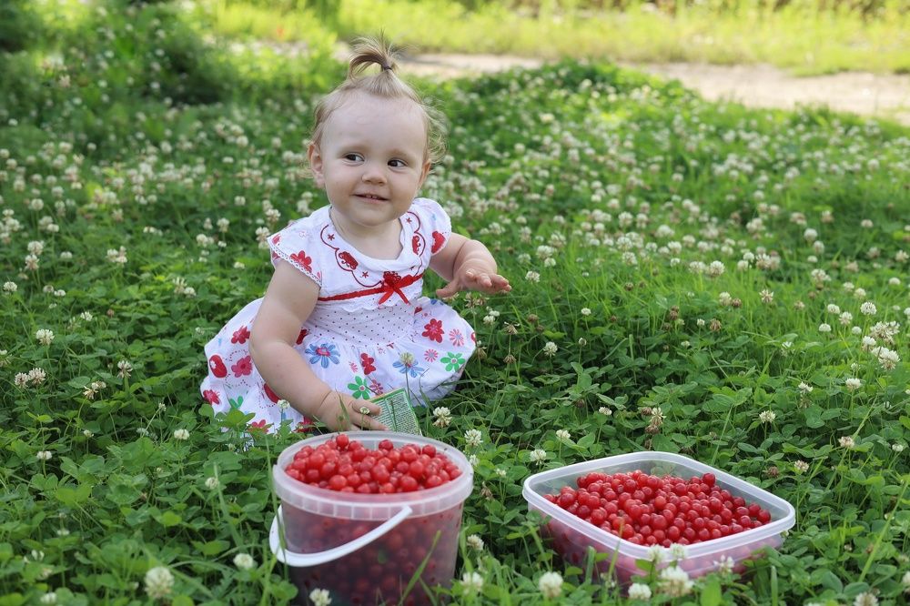 Photograph by Жестовская Евгения