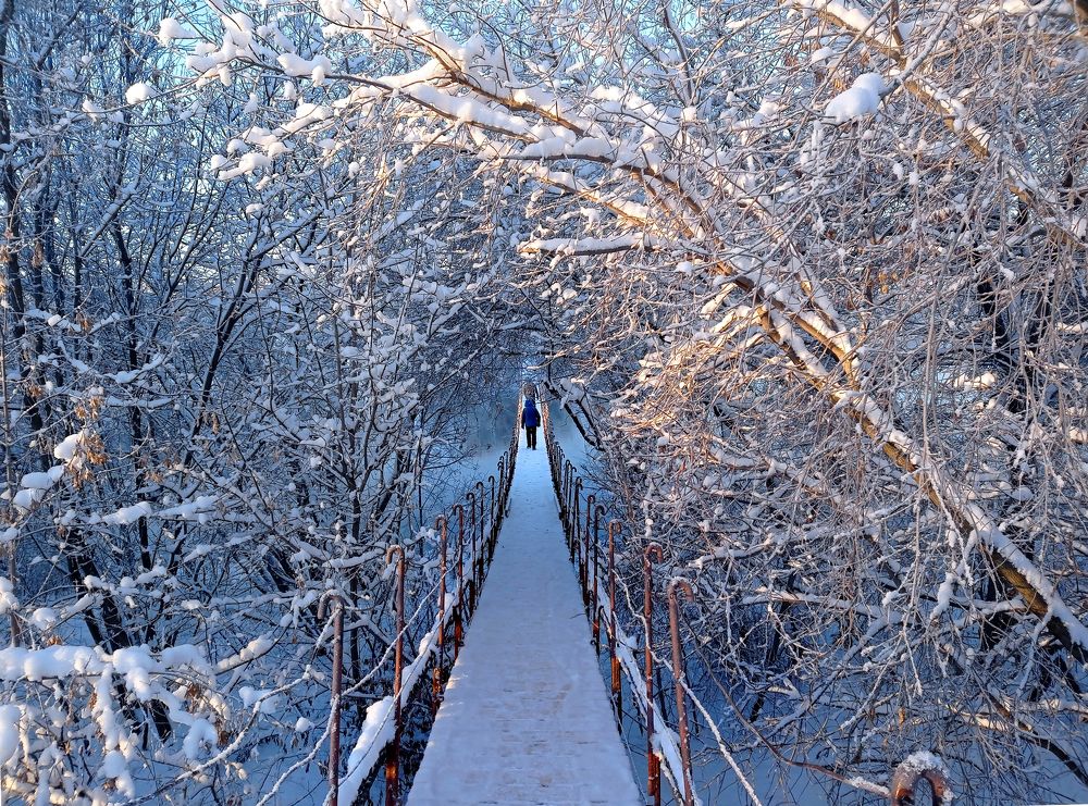 Фотография автора Кухта Мария