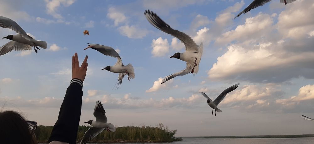 Photograph by Николай Цыпандин