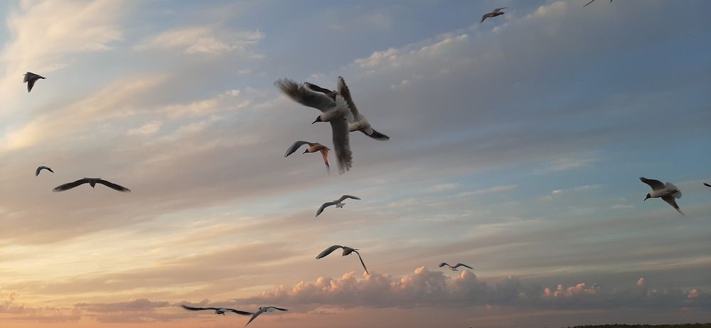 Photograph by Николай Цыпандин